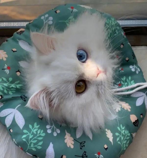 去新疆旅遊的第一天和第七天