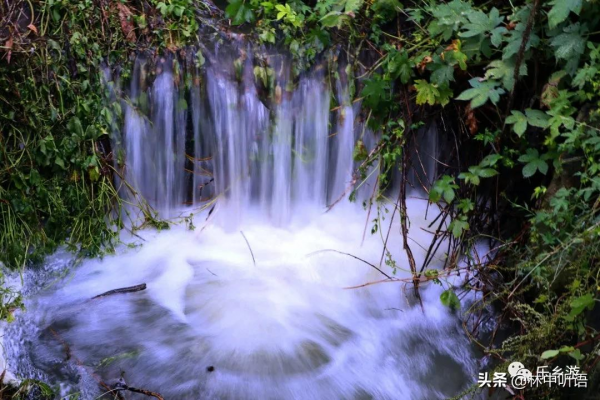 大美五蓮,姚家溝瀑布漂亮 大美五蓮,姚家溝瀑布漂亮