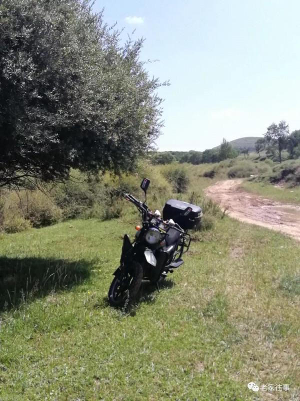 永不消失的大坡 永不消失的大坡