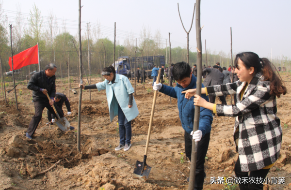 秋季栽種樹木要比春季栽種樹木更容易成活!你知道為什麼嗎? 秋季栽種樹木要比春季栽種樹木更容易成活!你知道為什麼嗎?
