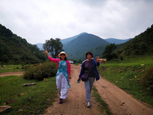 悠悠林海 歲歲情緣