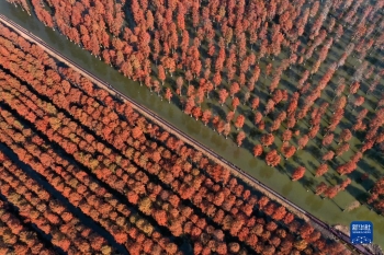 鏡觀中國·新華社國內新聞照片一週精選