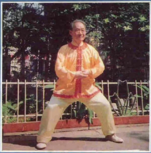 不羈的“穿掌”~應用篇