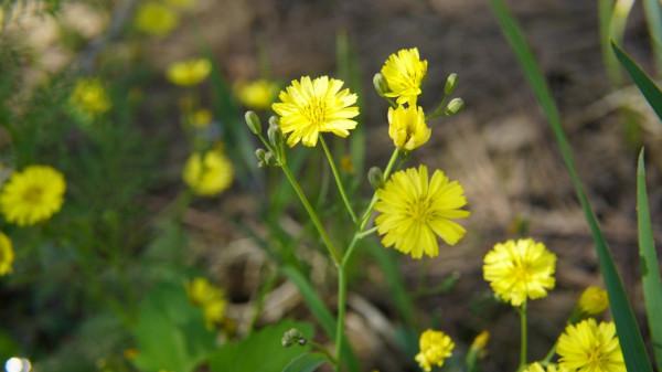 財政學學科最好的十所大學