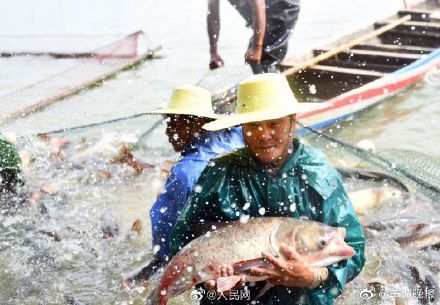 看,豐收的中國 看,豐收的中國