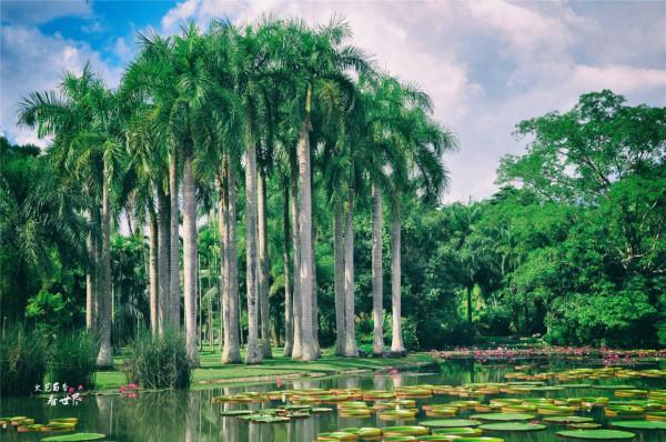 北方人去雲南“過冬養老”,除了西雙版納,這3座小城也很不錯 北方人去雲南“過冬養老”,除了西雙版納,這3座小城也很不錯