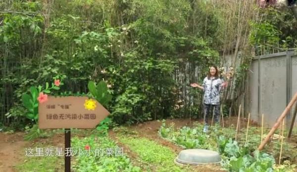 他們都定居內地了 他們都定居內地了