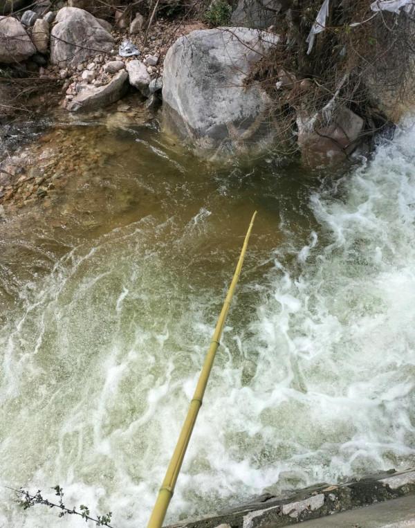 河北釣友深山溪流釣起許多“兇猛怪魚”,大的一斤多,野生虹鱒? 河北釣友深山溪流釣起許多“兇猛怪魚”,大的一斤多,野生虹鱒?
