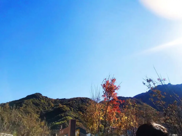 層嵐疊嶂的濃郁秋色，渲染出絕美的黃安坨！