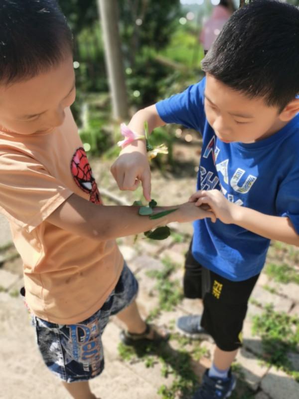 當自然教育遇上村娃娃