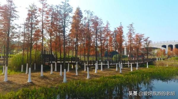 投資23億元的長沙人工湖,6000畝湖面煙波浩渺,十分靜謐安詳 投資23億元的長沙人工湖,6000畝湖面煙波浩渺,十分靜謐安詳