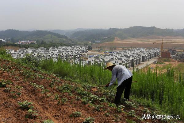 農村耕地“7不得”，村村都涉及，村民早知曉