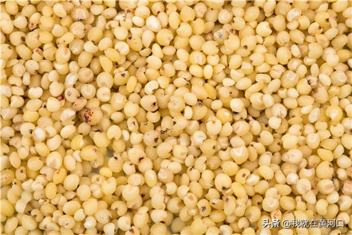 2021高粱最新報價:現在高粱市場價格多少錢一斤?看各地最新價格 2021高粱最新報價:現在高粱市場價格多少錢一斤?看各地最新價格