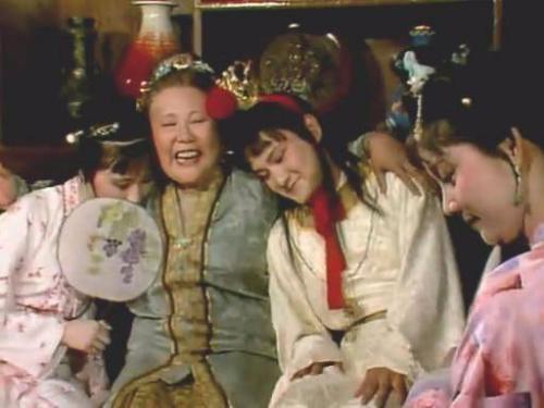 王夫人厭惡乾女兒薛寶琴，因為賈母利用寶琴做的四件事羞辱了薛家