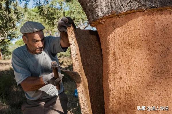 “葡萄牙”現狀,帶你看看真實的葡萄牙 “葡萄牙”現狀,帶你看看真實的葡萄牙