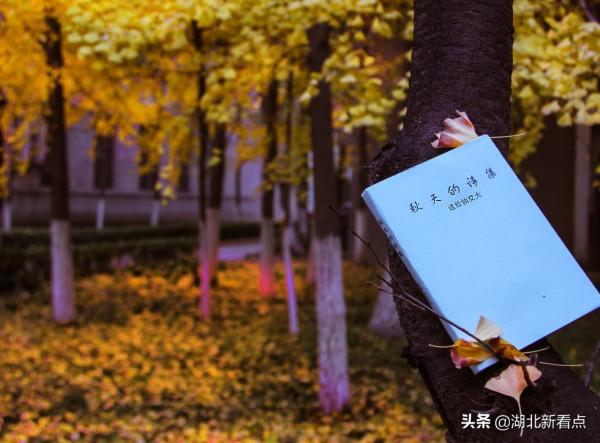 秋天最美的7大城市