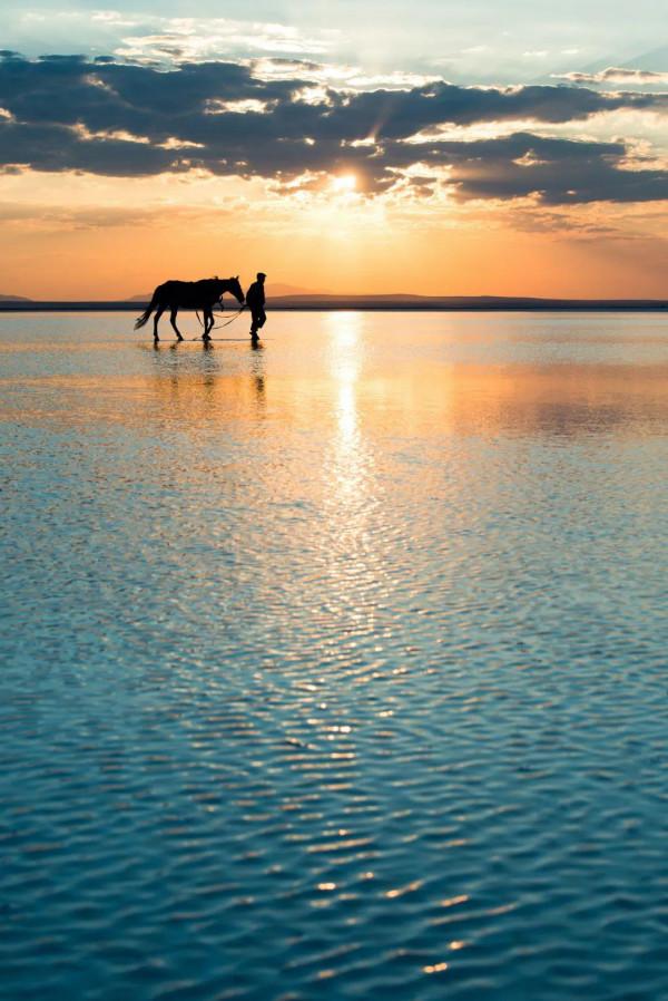 夜讀｜十二字以內的“神仙短句”，絕