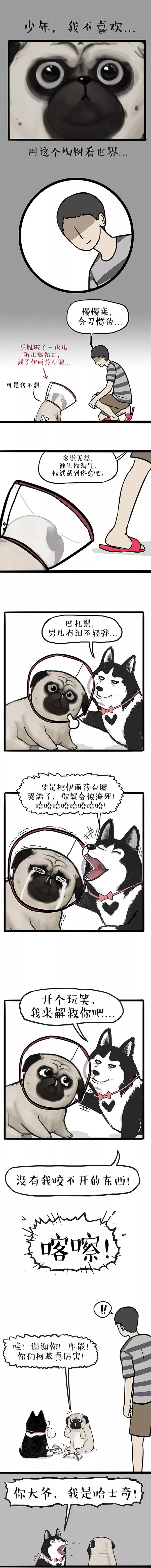 出去幾天的功夫，我的狗你能耐壞了（漫畫）