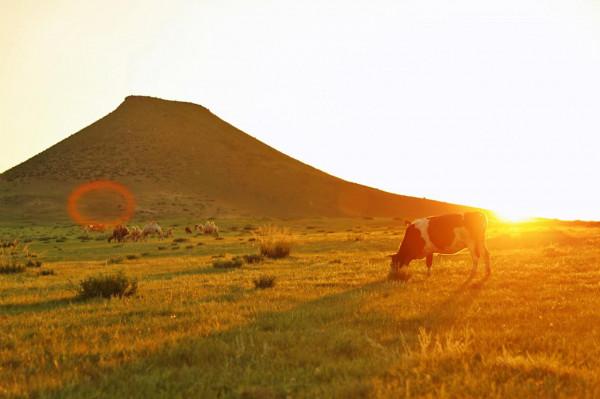 美妙夏日，世界四大草原之一，最好吃的羊肉，錫林郭勒自駕攻略