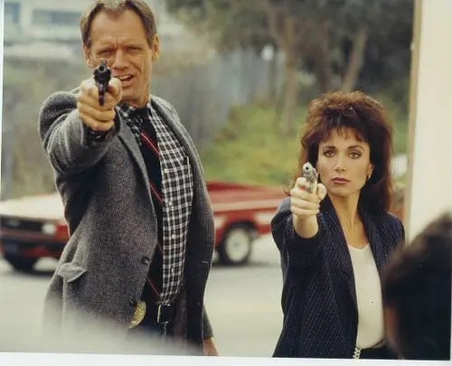 《成長的煩惱》《俠膽雄獅》，那些在“正大劇場”播過的美劇