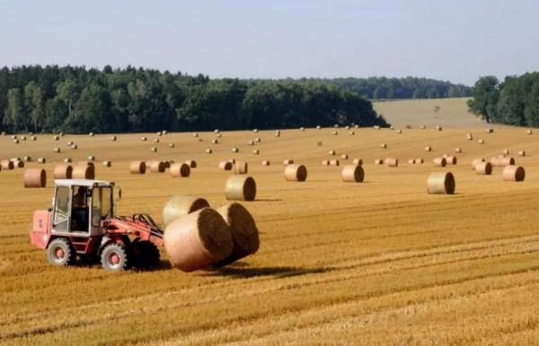 世界農業漫談（源自俄羅斯網站）