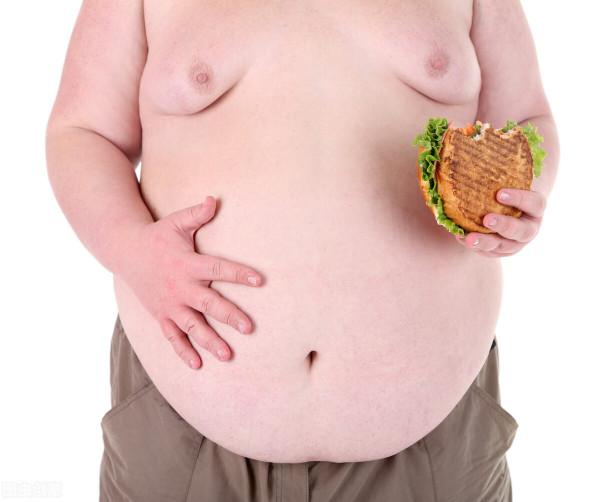 積蓄脂肪是尋求安全感的精神冬眠,然而今天我們卻千方百計減肥 積蓄脂肪是尋求安全感的精神冬眠,然而今天我們卻千方百計減肥