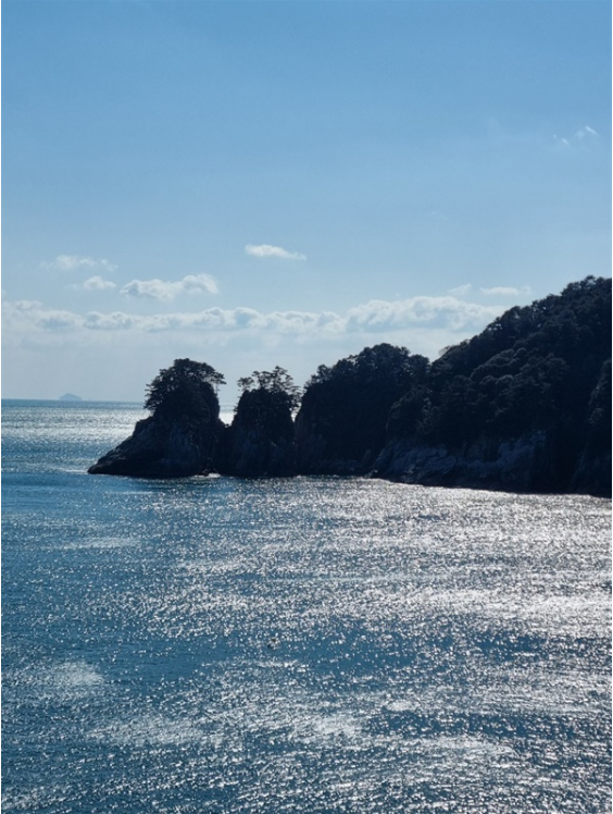 春日的開始與山茶花一起散步的島嶼——知心島
