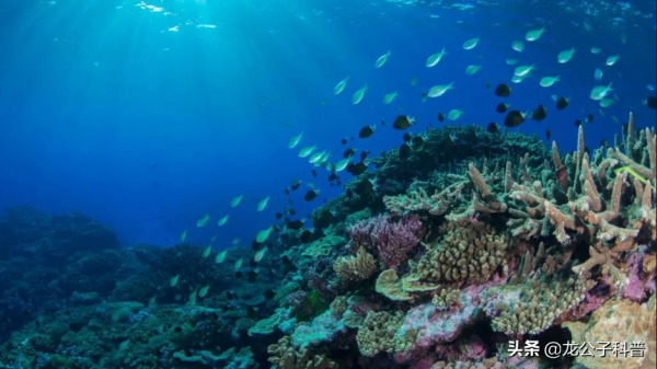 地球正在走出“大冰期”？警惕“雪球地球”悲劇重演