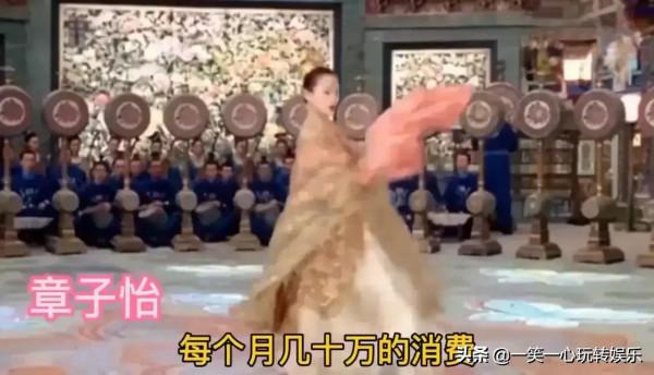 娛樂圈女明星的奢侈消費，李湘每月伙食費7萬，黃聖依6萬的垃圾桶