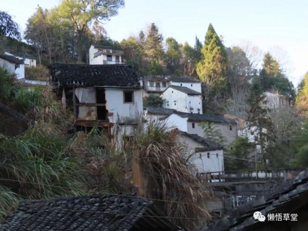 「圖遊徽州123」溫塢蟲皮墶 「圖遊徽州123」溫塢蟲皮墶