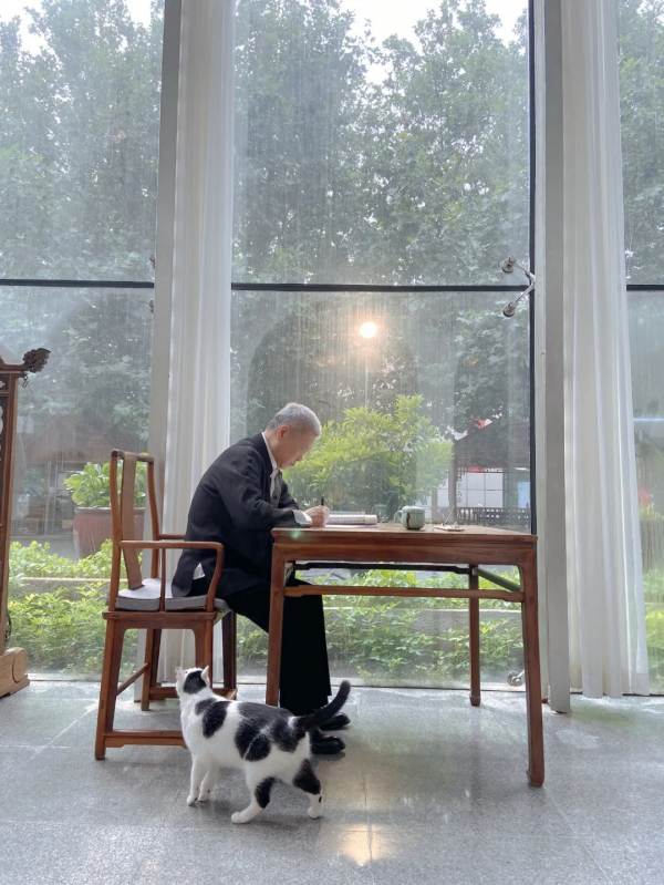 大貓星王情聖的工作日常