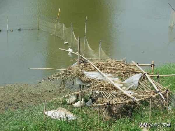 費孝通先生嘗試在《鄉土中國》回答:基層社會到底是怎樣的社會? 費孝通先生嘗試在《鄉土中國》回答:基層社會到底是怎樣的社會?