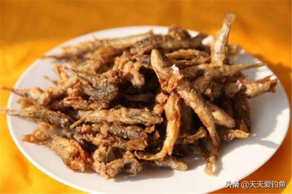 用蜘蛛絲釣白條魚，一種歷史極為悠久的釣法，都快被人遺忘了