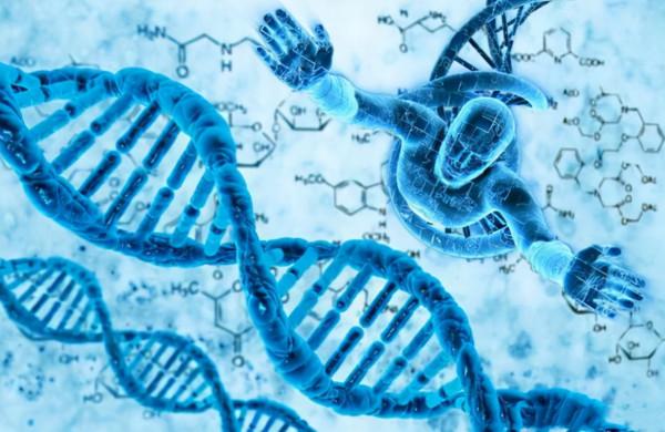 人類為何不能永生?科學家:人類都是“打工仔” 人類為何不能永生?科學家:人類都是“打工仔”