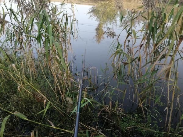 「雙11」寒潮來襲檢驗是否空軍,什麼用蚯蚓也能上草魚? 「雙11」寒潮來襲檢驗是否空軍,什麼用蚯蚓也能上草魚?