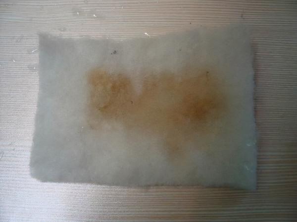 怎樣才能養出一缸讓人垂涎的水草