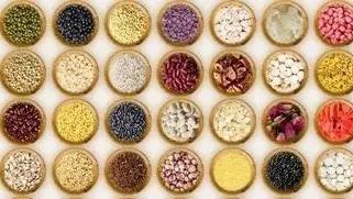 （貳）怎麼吃才更營養更均衡更健康？今天我們來聊聊該怎麼吃