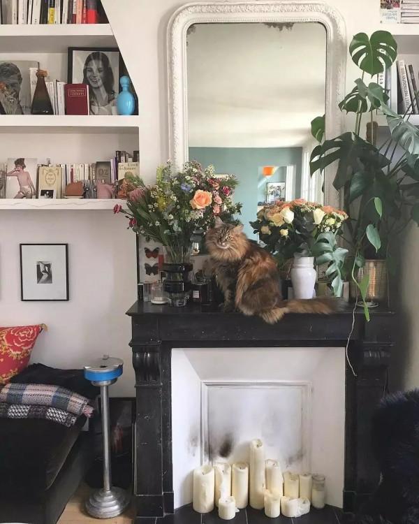 在家呆了三天後的感想：我要像穿衣服一樣裝扮自己的家