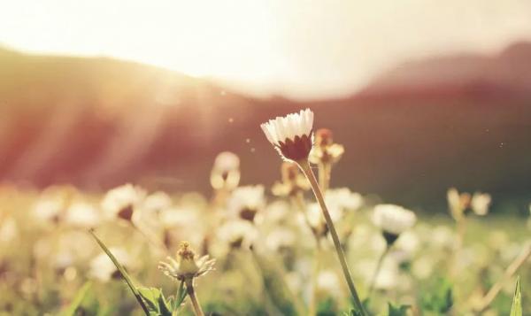 人老了，到了最後一站，才發現以下幾樣東西，生不帶來死不帶走