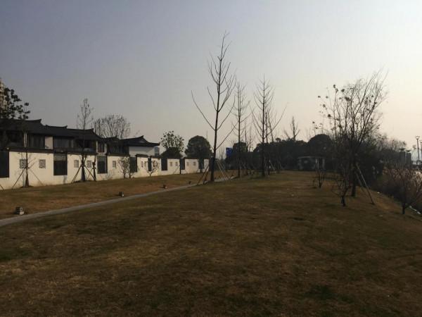 天氣好，出來轉轉，呼吸新年的空氣