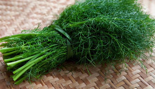 31種野菜大合集，帶你認識不同的野菜和吃法，你想要的野菜這裡有