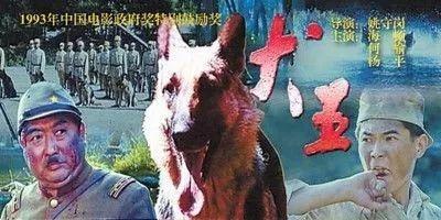 《當家主母》“喵咪事件”愈演愈烈,還有更殘忍的,都停止吧 《當家主母》“喵咪事件”愈演愈烈,還有更殘忍的,都停止吧