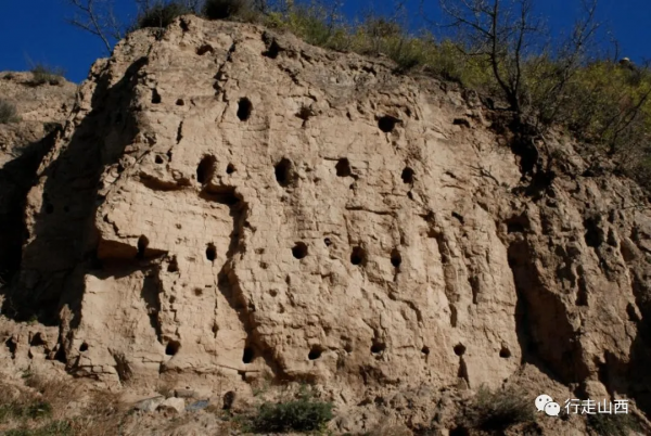 婁煩:樓蘭是我親兄弟 婁煩:樓蘭是我親兄弟