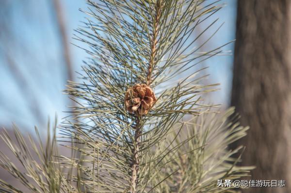 北京徒步登山：門頭溝滴水巖-棲隱寺（下），規模宏大卻爛尾寺廟