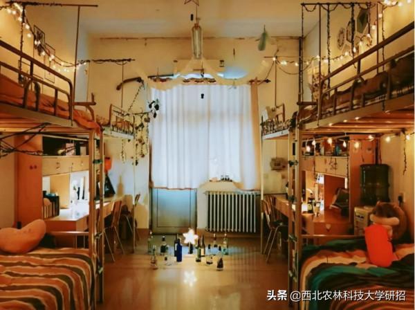 央視“點名”關注!陝西這所高校的全魚宴、巧克力饅頭饞哭網友 央視“點名”關注!陝西這所高校的全魚宴、巧克力饅頭饞哭網友