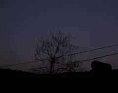 四十年了,想起那夜驚遇,我仍心有餘悸 四十年了,想起那夜驚遇,我仍心有餘悸