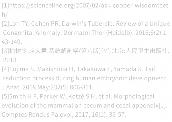 被你嫌棄的智齒、闌尾，其實在默默保護你......