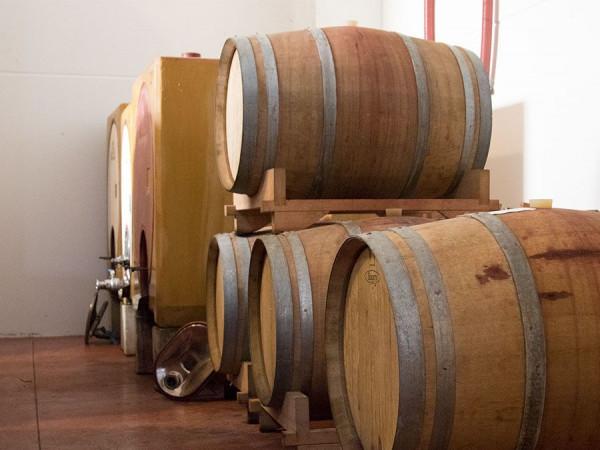 酒莊科普 | 尊崇天然有機的「Raina酒莊」