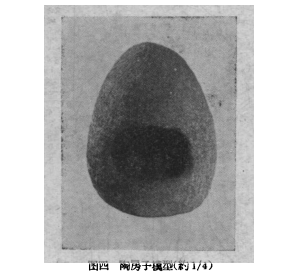 陝西長安鄠縣調查與試掘簡報