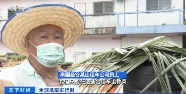 大量出租車停運！交不起“份子錢”！這裡計程車公司在車頂種菜、養田蛙維持生計...